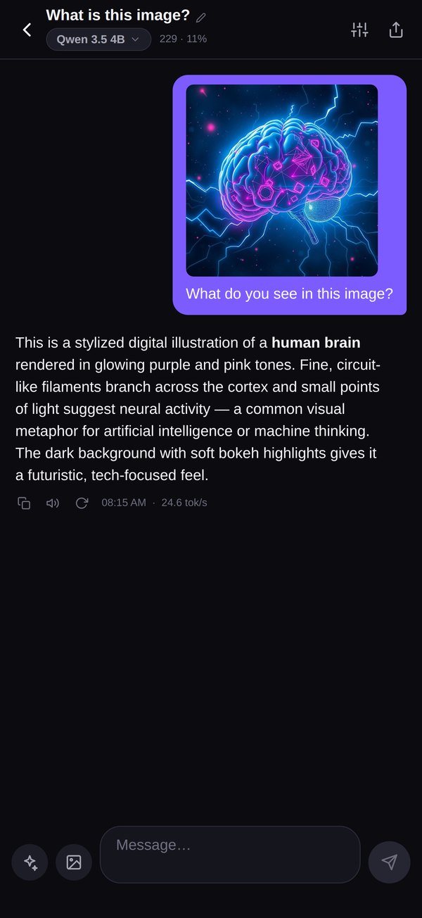 A vision chat: a photo of a glowing purple brain attached to the question What do you see in this image, and Qwen 3.5 4B describing it as a stylized digital illustration of a human brain